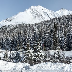 Preview wallpaper mountain, peak, snow, trees, winter