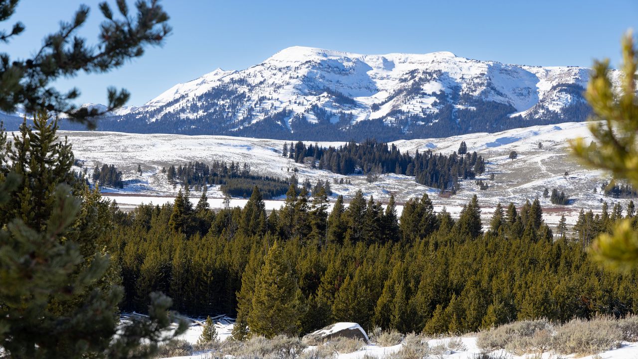 Wallpaper mountain, peak, snow, landscape, trees, winter