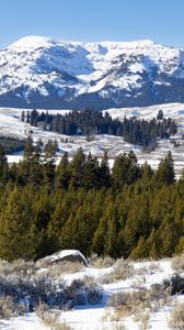 Preview wallpaper mountain, peak, snow, landscape, trees, winter