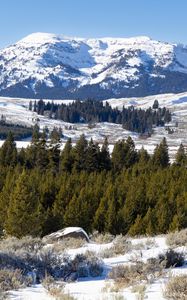 Preview wallpaper mountain, peak, snow, landscape, trees, winter