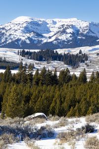 Preview wallpaper mountain, peak, snow, landscape, trees, winter