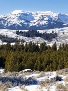 Preview wallpaper mountain, peak, snow, landscape, trees, winter