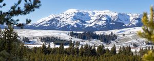 Preview wallpaper mountain, peak, snow, landscape, trees, winter