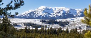 Preview wallpaper mountain, peak, snow, landscape, trees, winter