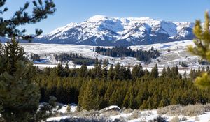 Preview wallpaper mountain, peak, snow, landscape, trees, winter