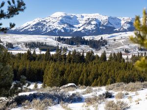 Preview wallpaper mountain, peak, snow, landscape, trees, winter