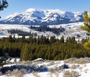 Preview wallpaper mountain, peak, snow, landscape, trees, winter