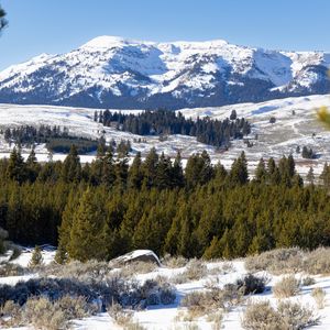 Preview wallpaper mountain, peak, snow, landscape, trees, winter