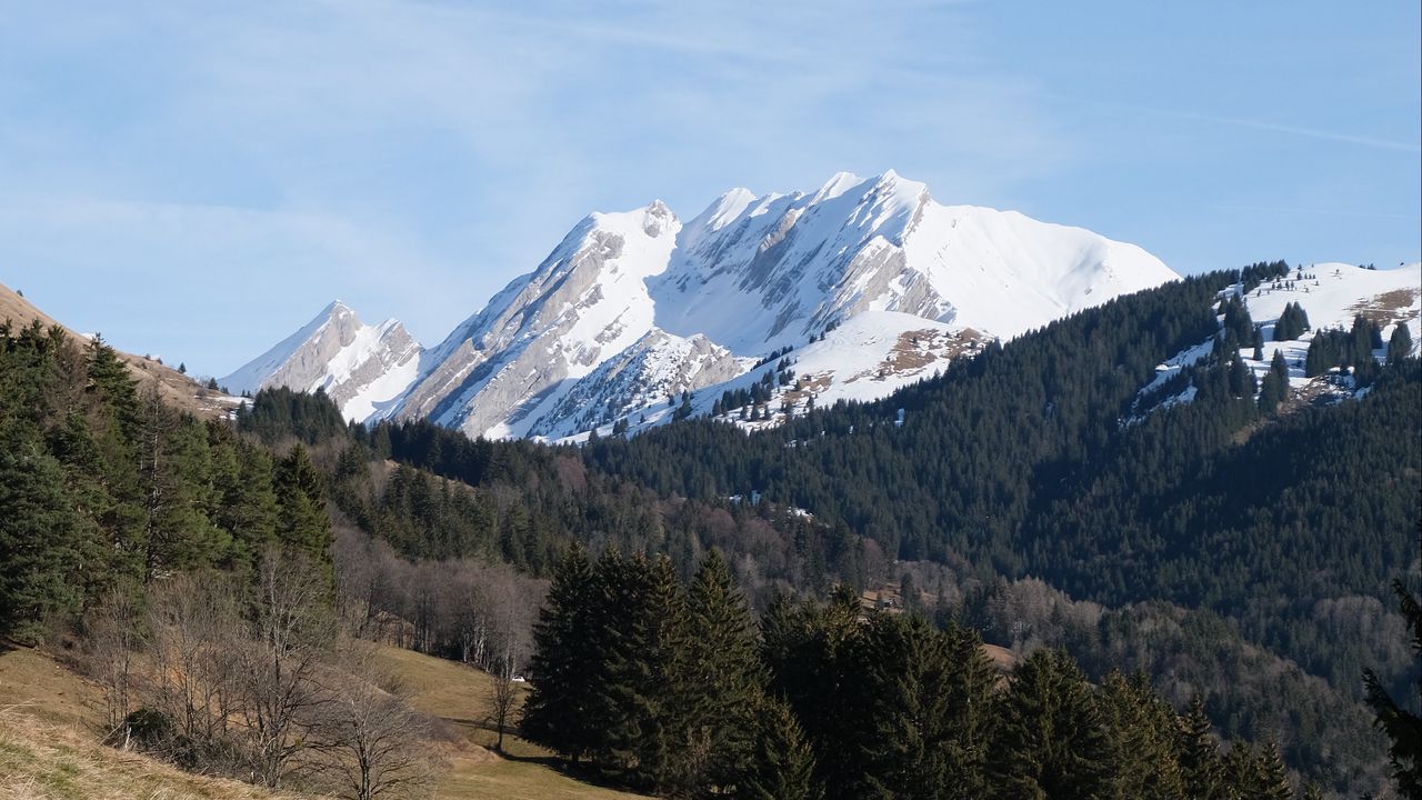 Wallpaper mountain, peak, snow, trees, forest, landscape, nature