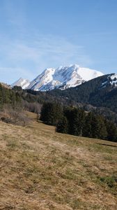 Preview wallpaper mountain, peak, snow, trees, forest, landscape, nature