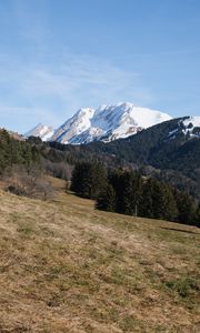 Preview wallpaper mountain, peak, snow, trees, forest, landscape, nature