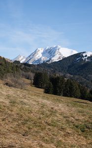 Preview wallpaper mountain, peak, snow, trees, forest, landscape, nature