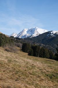 Preview wallpaper mountain, peak, snow, trees, forest, landscape, nature