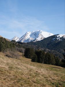 Preview wallpaper mountain, peak, snow, trees, forest, landscape, nature