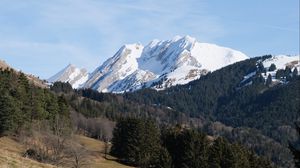 Preview wallpaper mountain, peak, snow, trees, forest, landscape, nature