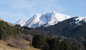 Preview wallpaper mountain, peak, snow, trees, forest, landscape, nature