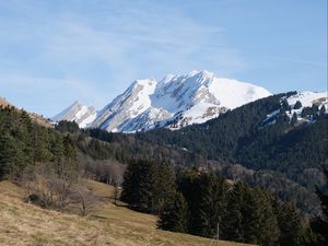 Preview wallpaper mountain, peak, snow, trees, forest, landscape, nature