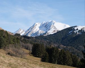 Preview wallpaper mountain, peak, snow, trees, forest, landscape, nature