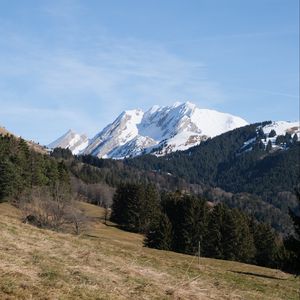 Preview wallpaper mountain, peak, snow, trees, forest, landscape, nature