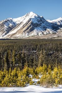 Preview wallpaper mountain, peak, snow, trees, forest, winter