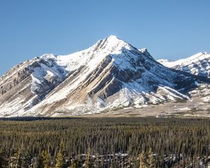 Preview wallpaper mountain, peak, snow, trees, forest, winter