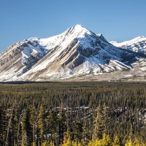 Preview wallpaper mountain, peak, snow, trees, forest, winter