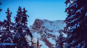 Preview wallpaper mountain, peak, snow, snowy, branches