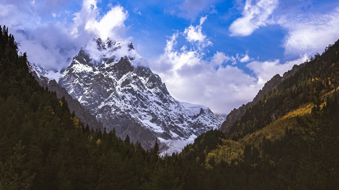 Wallpaper mountain, peak, snow, forest, trees, landscape