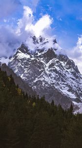 Preview wallpaper mountain, peak, snow, forest, trees, landscape