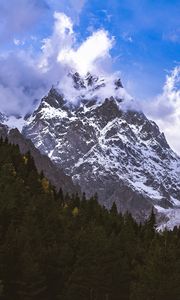 Preview wallpaper mountain, peak, snow, forest, trees, landscape