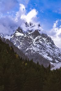 Preview wallpaper mountain, peak, snow, forest, trees, landscape