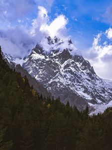 Preview wallpaper mountain, peak, snow, forest, trees, landscape