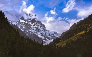 Preview wallpaper mountain, peak, snow, forest, trees, landscape