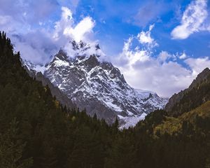Preview wallpaper mountain, peak, snow, forest, trees, landscape