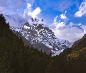 Preview wallpaper mountain, peak, snow, forest, trees, landscape