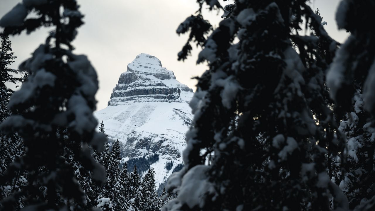 Wallpaper mountain, peak, snow, trees, landscape