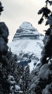 Preview wallpaper mountain, peak, snow, trees, landscape