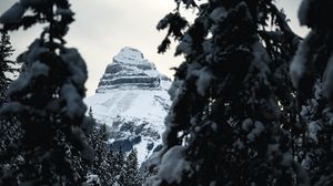 Preview wallpaper mountain, peak, snow, trees, landscape