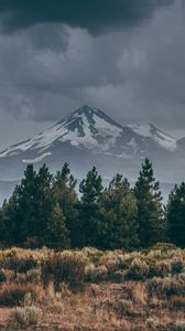 Preview wallpaper mountain, peak, snow, snowy, spruce, grass