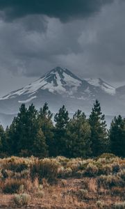 Preview wallpaper mountain, peak, snow, snowy, spruce, grass