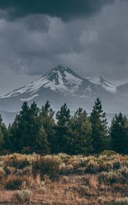 Preview wallpaper mountain, peak, snow, snowy, spruce, grass