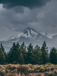 Preview wallpaper mountain, peak, snow, snowy, spruce, grass