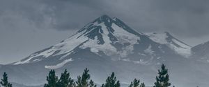 Preview wallpaper mountain, peak, snow, snowy, spruce, grass