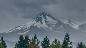 Preview wallpaper mountain, peak, snow, snowy, spruce, grass