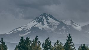 Preview wallpaper mountain, peak, snow, snowy, spruce, grass