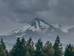 Preview wallpaper mountain, peak, snow, snowy, spruce, grass