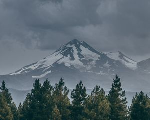 Preview wallpaper mountain, peak, snow, snowy, spruce, grass