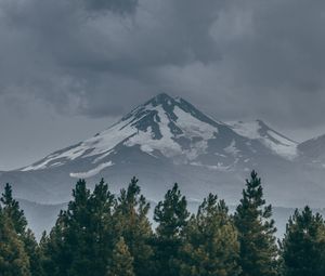 Preview wallpaper mountain, peak, snow, snowy, spruce, grass