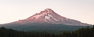 Preview wallpaper mountain, peak, snow, snowy, trees