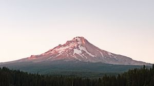 Preview wallpaper mountain, peak, snow, snowy, trees